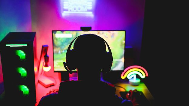 The Influence of Online Gaming Communities