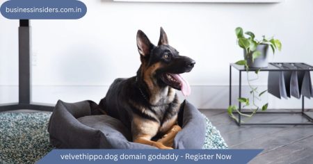 velvethippo.dog domain godaddy